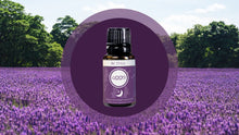 Load image into Gallery viewer, Be Still Essential Oil Blend Good Always