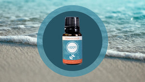 Transcend Aromatherapy Essential Oil Blend