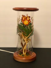 Load image into Gallery viewer, Orchid De La Selva, Variegated Hand-Painted Mayan 360 Lantern