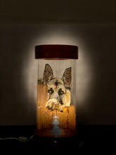 Load image into Gallery viewer, Canine Tímido Hand-Painted Mayan 360 Lantern