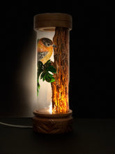 Load image into Gallery viewer, Songbird Posado Hand-Painted Mayan 360 Lantern
