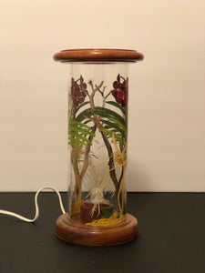 Orchid De La Selva, Corinto Hand-Painted Mayan 360 Lantern