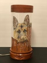 Load image into Gallery viewer, Canine Tímido Hand-Painted Mayan 360 Lantern