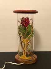 Load image into Gallery viewer, Orchid De La Selva, Corinto Hand-Painted Mayan 360 Lantern