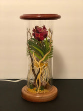 Load image into Gallery viewer, Orchid De La Selva, Corinto Hand-Painted Mayan 360 Lantern