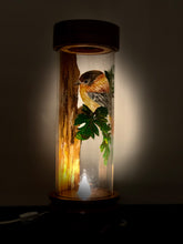 Load image into Gallery viewer, Songbird Posado Hand-Painted Mayan 360 Lantern