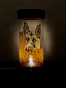 Canine Tímido Hand-Painted Mayan 360 Lantern